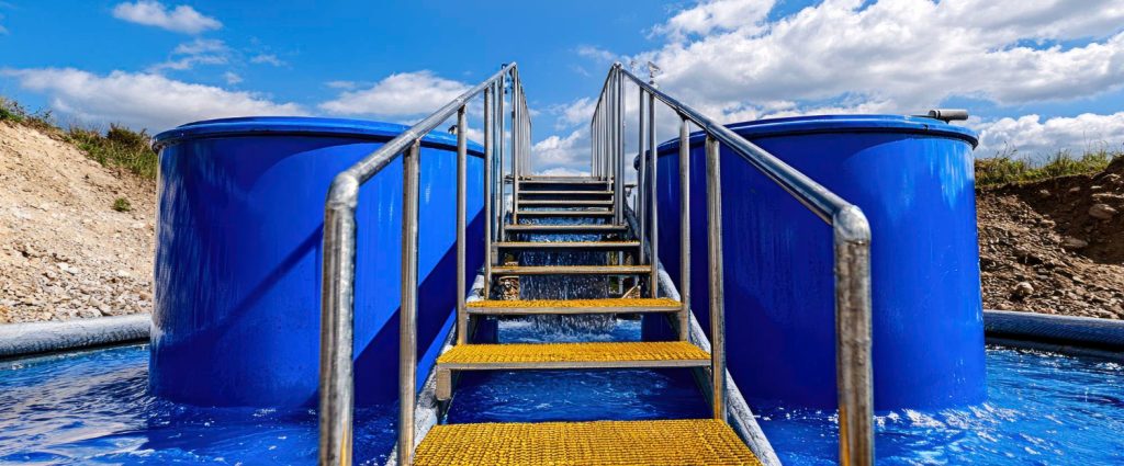 חיידק הליגיונלה